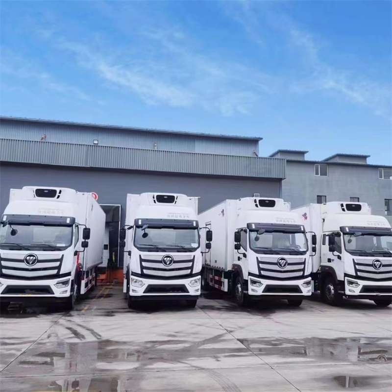 石棉县新龙县进仓物流：多元专线直达运输探秘